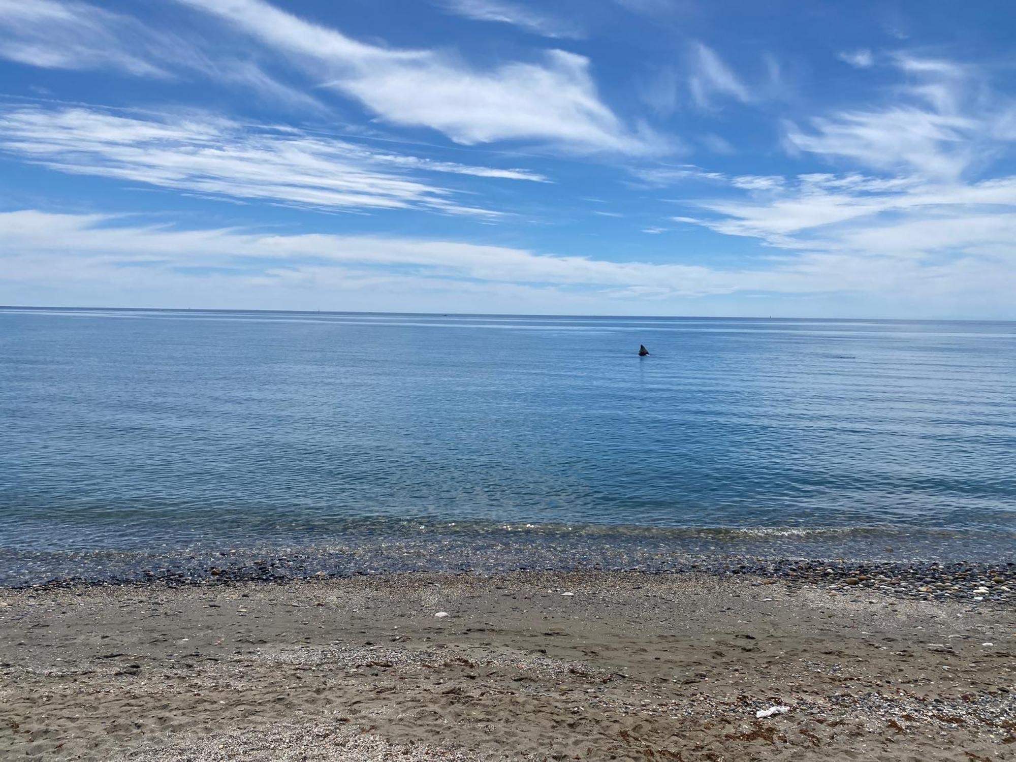 Bahia De エステポナ エクステリア 写真